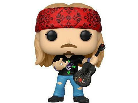 Rocks: Bret Michaels